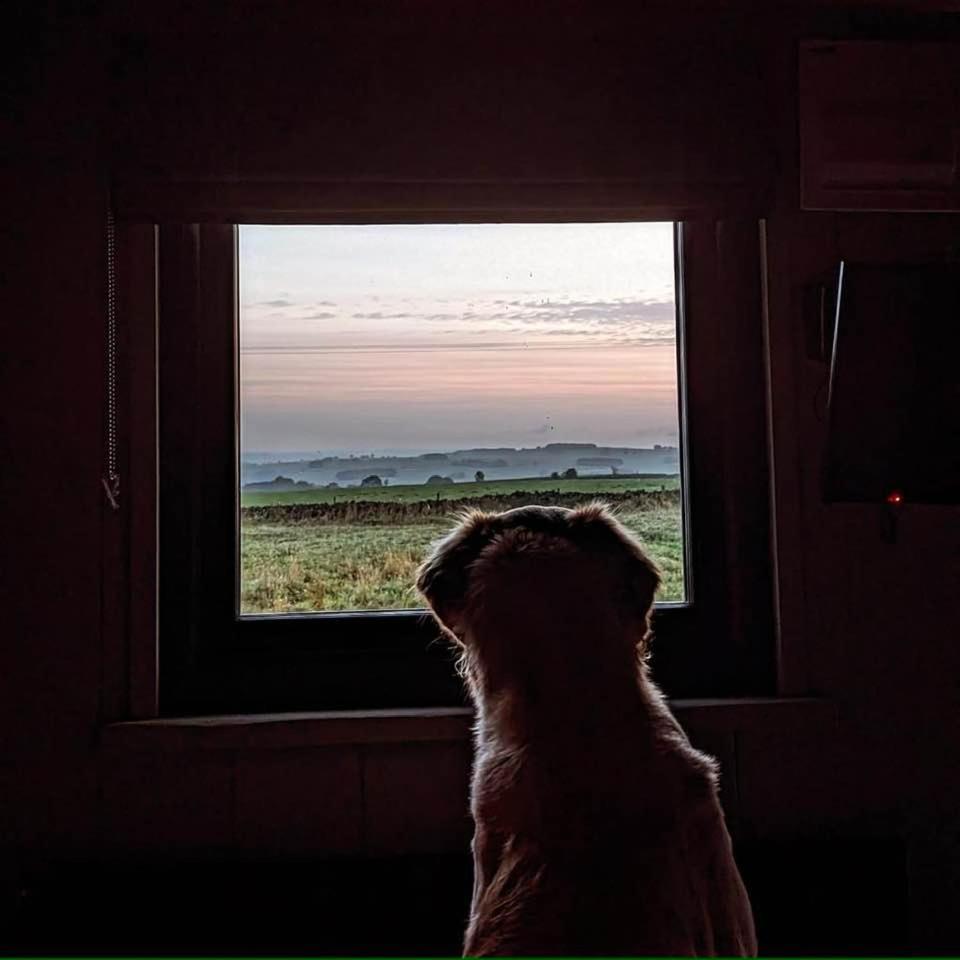 Luxury Shepherd Hut In The Peak District Bakewell Bagian luar foto